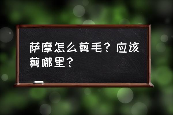 萨摩耶可以剪什么造型 萨摩怎么剪毛？应该剪哪里？