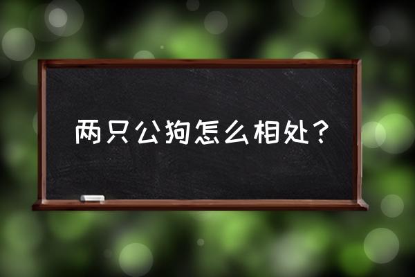 怎么养同性同类的狗 两只公狗怎么相处? 怎么养同性同类的狗 两只公狗怎么相处?