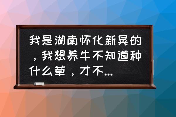 怀化附近有养牛场吗中框 我是湖南怀化新晃的，我想养牛不知道种什么草，才不愁牛没草喂牛，哪个养牛大师帮你解决下？
