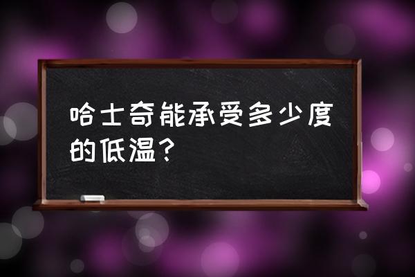 哈士奇会不会怕冷 哈士奇能承受多少度的低温？