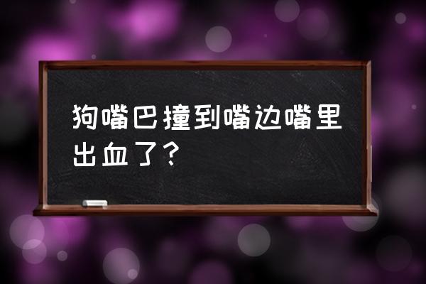 让狗咬嘴出血肿了有事吗 狗嘴巴撞到嘴边嘴里出血了？