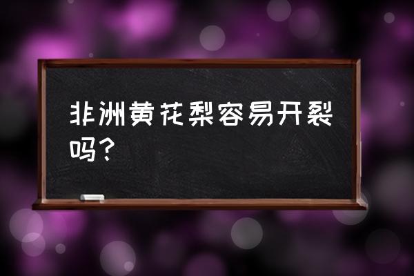 非洲花梨木会裂吗 非洲黄花梨容易开裂吗？