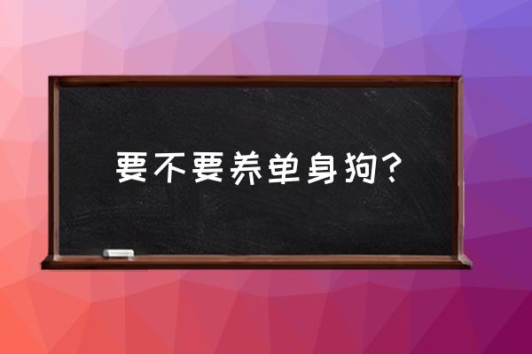 有没有人想养这只单身狗的 要不要养单身狗? 有没有人想养这只单身狗的 要不要养单身狗?