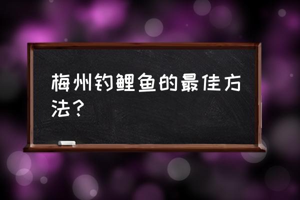 梅州有什么村适合钓鱼 梅州钓鲤鱼的最佳方法？