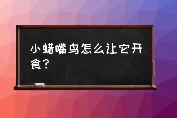 蜡嘴幼鸟多大能自己吃食 小蜡嘴鸟怎么让它开食？