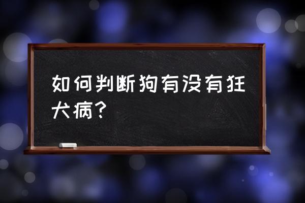 如何正确判断自己得了狂犬病 如何判断狗有没有狂犬病？