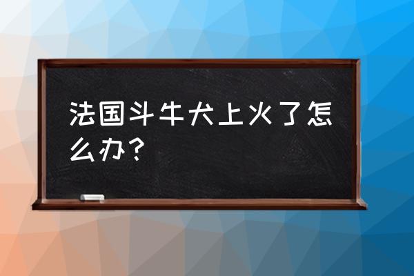 狗狗上火怎么办最快最有效 法国斗牛犬上火了怎么办？