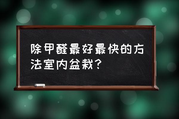 房子装修后怎么去除甲醛最好 除甲醛最好最快的方法室内盆栽？