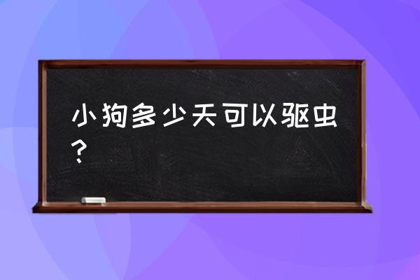 狗怎么驱虫 小狗多少天可以驱虫? 狗怎么驱虫 小狗多少天可以驱虫?