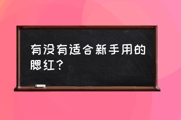 介绍几款腮红 有没有适合新手用的腮红？