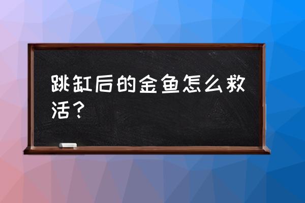金鱼死掉了怎么才能救活 跳缸后的金鱼怎么救活？