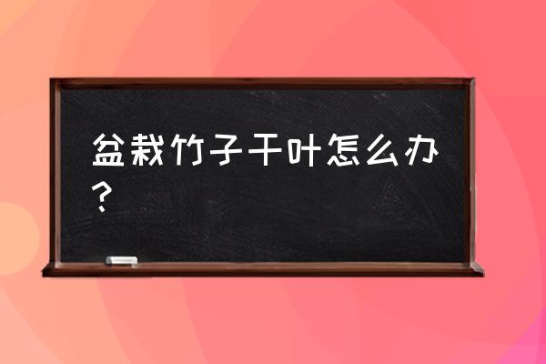 盆栽植物严重缺水干枯怎么办 盆栽竹子干叶怎么办? 盆栽植物严重缺水干枯怎么办 盆栽竹子干叶怎么办?