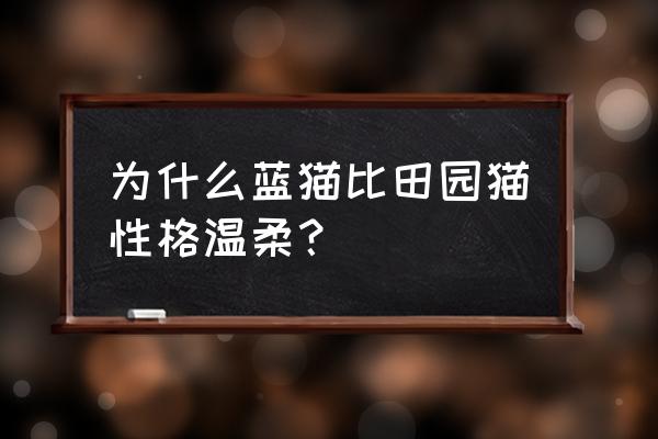 老年人养个什么猫好 为什么蓝猫比田园猫性格温柔? 老年人养个什么猫好 为什么蓝猫比田园猫性格温柔?