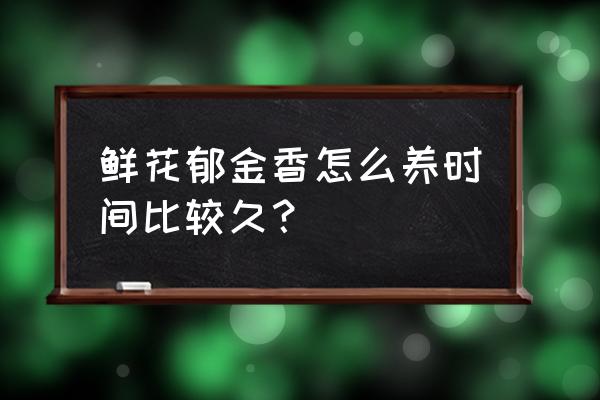 怎么才能让郁金香长得快 鲜花郁金香怎么养时间比较久? 怎么才能让郁金香长得快 鲜花郁金香怎么养时间比较久?
