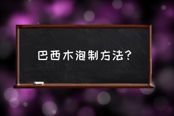 水培巴西木怎么养更好 巴西木泡制方法？