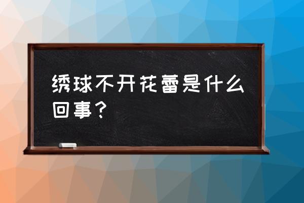 为什么绣球花苞没有长大就开花了 绣球不开花蕾是什么回事？