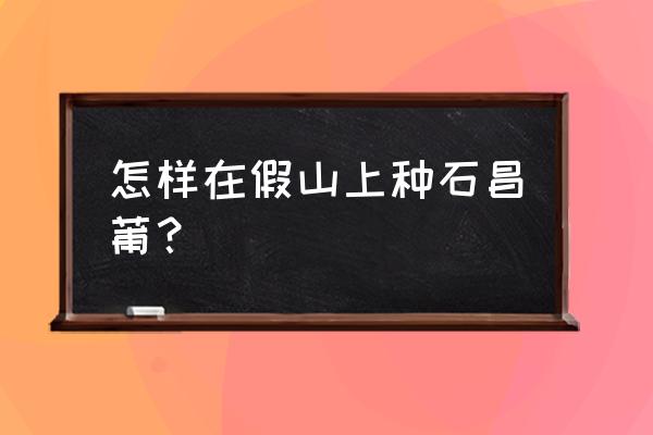 假山花如何种植 怎样在假山上种石昌莆? 假山花如何种植 怎样在假山上种石昌莆?