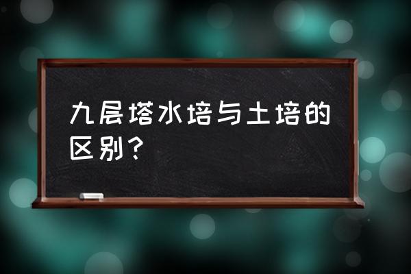 吊兰无土栽培的缺点 九层塔水培与土培的区别? 吊兰无土栽培的缺点 九层塔水培与土培的区别?