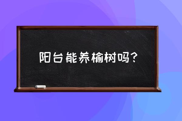 阳台上如何养植物 阳台能养榆树吗? 阳台上如何养植物 阳台能养榆树吗?