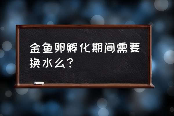 金鱼下的卵怎么孵化 金鱼卵孵化期间需要换水么? 金鱼下的卵怎么孵化 金鱼卵孵化期间需要换水么?
