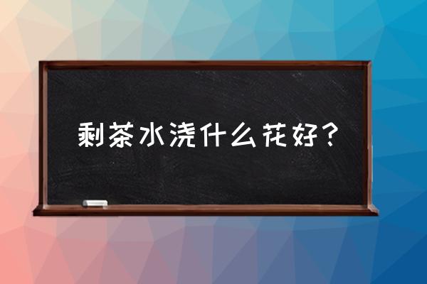 植物茶怎么搭配好 剩茶水浇什么花好？
