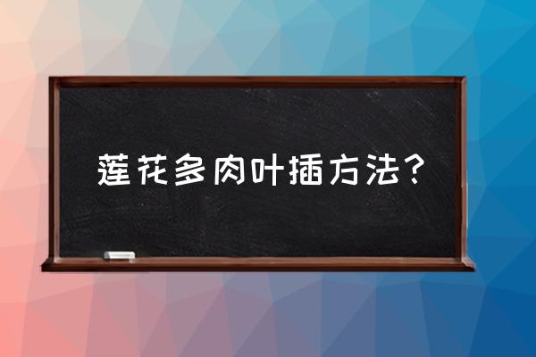 多肉12卷怎么叶插 莲花多肉叶插方法? 多肉12卷怎么叶插 莲花多肉叶插方法?