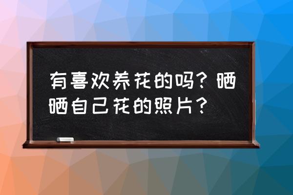 花鸟市场垃圾桶里的花可以捡吗 有喜欢养花的吗?晒晒自己花的照片? 花鸟市场垃圾桶里的花可以捡吗 有喜欢养花的吗?晒晒自己花的照片?