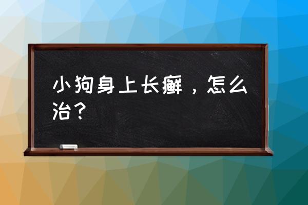 狗身上长癣能自动好吗 小狗身上长癣，怎么治？