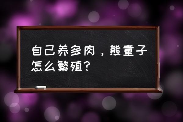 多肉如何把桩子养粗叶形养小呢 自己养多肉，熊童子怎么繁殖？