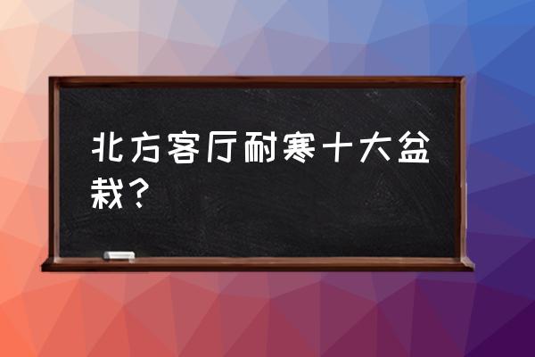客厅最旺家的绿植盆栽 北方客厅耐寒十大盆栽? 客厅最旺家的绿植盆栽 北方客厅耐寒十大盆栽?