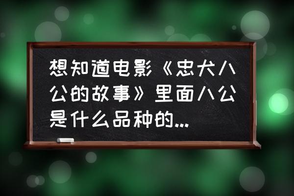养秋田犬需要准备什么 想知道电影《忠犬八公的故事》里面八公是什么品种的？然后品种来自哪里？怎么养它呢？