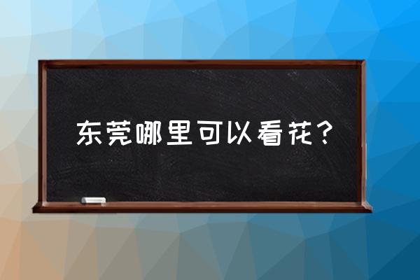 东莞大山公园看花海相册 东莞哪里可以看花? 东莞大山公园看花海相册 东莞哪里可以看花?