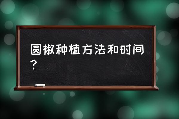 绿宝叶子发黄脱落怎样挽救 圆椒种植方法和时间？