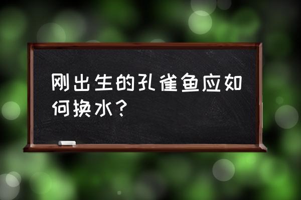 母鱼生完小崽可以马上换水吗 刚出生的孔雀鱼应如何换水? 母鱼生完小崽可以马上换水吗 刚出生的孔雀鱼应如何换水?