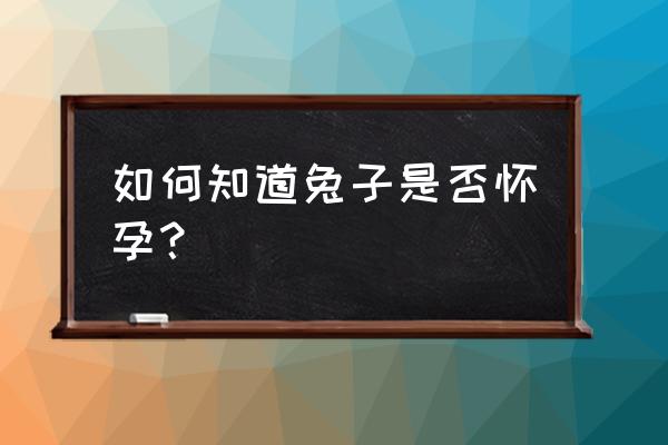 怀孕12周怎样知道胎儿还是活胎 如何知道兔子是否怀孕? 怀孕12周怎样知道胎儿还是活胎 如何知道兔子是否怀孕?