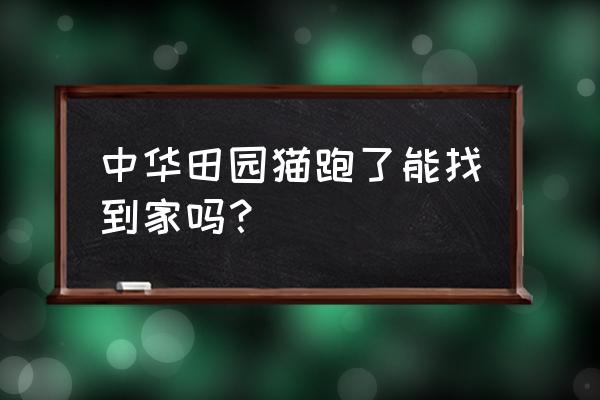 猫离家出走了怎么可以找回来 中华田园猫跑了能找到家吗？