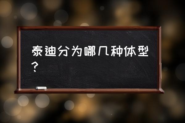 怎样判断爱宠的体型 泰迪分为哪几种体型？