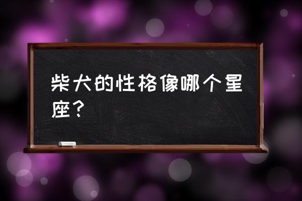 12星座适合养哪种狗 柴犬的性格像哪个星座? 12星座适合养哪种狗 柴犬的性格像哪个星座?