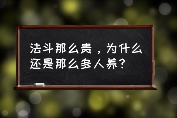 英斗泪痕严重处理方法 法斗那么贵，为什么还是那么多人养？