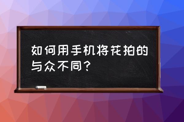 牵牛花拍照动作 如何用手机将花拍的与众不同？