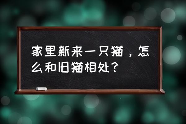 如何让两只刚见面的猫和平相处 家里新来一只猫，怎么和旧猫相处？