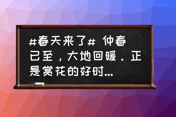 成都春季二月赏花值得一去的地方 #春天来了# 仲春已至,大地回暖。正是赏花的好时节,那么你心中的花海在哪里? 成都春季二月赏花值得一去的地方 #春天来了# 仲春已至,大地回暖。正是赏花的好时节,那么你心中的花海在哪里?