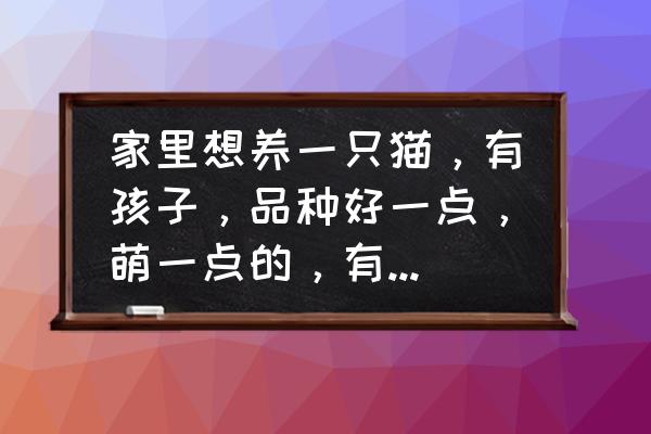 什么小动物适合孩子养 家里想养一只猫，有孩子，品种好一点，萌一点的，有哪些推荐？