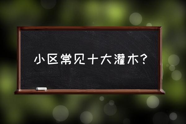 硬骨凌霄和爬藤凌霄对比图 小区常见十大灌木? 硬骨凌霄和爬藤凌霄对比图 小区常见十大灌木?