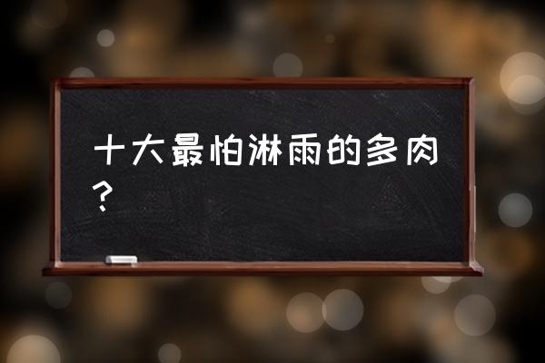 芙蓉雪莲的正确养法 十大最怕淋雨的多肉? 芙蓉雪莲的正确养法 十大最怕淋雨的多肉?