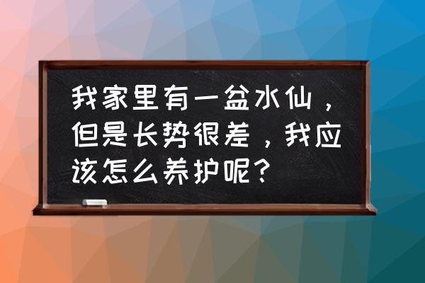 太阳花怎么养才能更茂盛 我家里有一盆水仙,但是长势很差,我应该怎么养护呢? 太阳花怎么养才能更茂盛 我家里有一盆水仙,但是长势很差,我应该怎么养护呢?