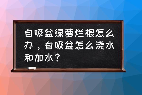 绿萝烂根了有什么补救方法 自吸盆绿萝烂根怎么办，自吸盆怎么浇水和加水？