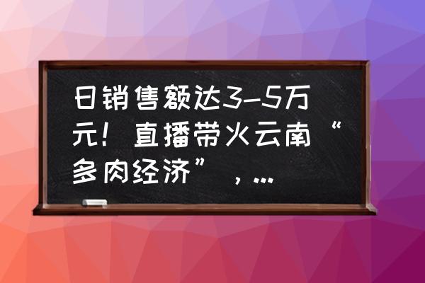 多肉秀妍怎么养能爆盆 日销售额达3-5万元！直播带火云南“多肉经济”，你“入坑”了没？