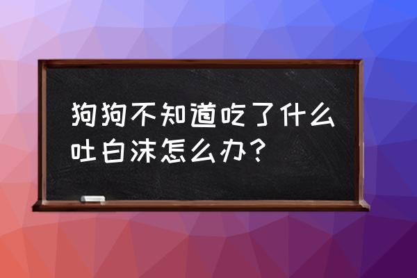 狗狗吐白沫还不吃饭怎么办 狗狗不知道吃了什么吐白沫怎么办? 狗狗吐白沫还不吃饭怎么办 狗狗不知道吃了什么吐白沫怎么办?