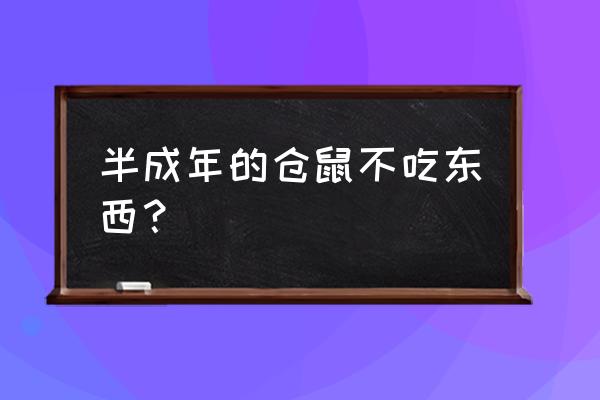 如果仓鼠生病了没有药怎么办 半成年的仓鼠不吃东西? 如果仓鼠生病了没有药怎么办 半成年的仓鼠不吃东西?